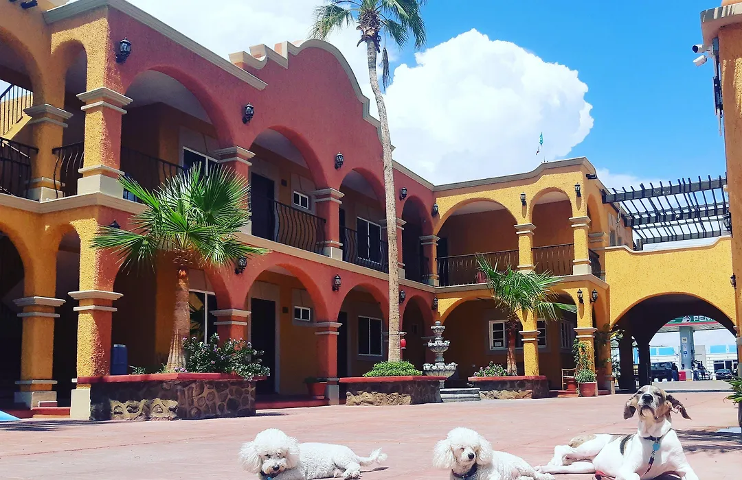 Hotel Angra-1
